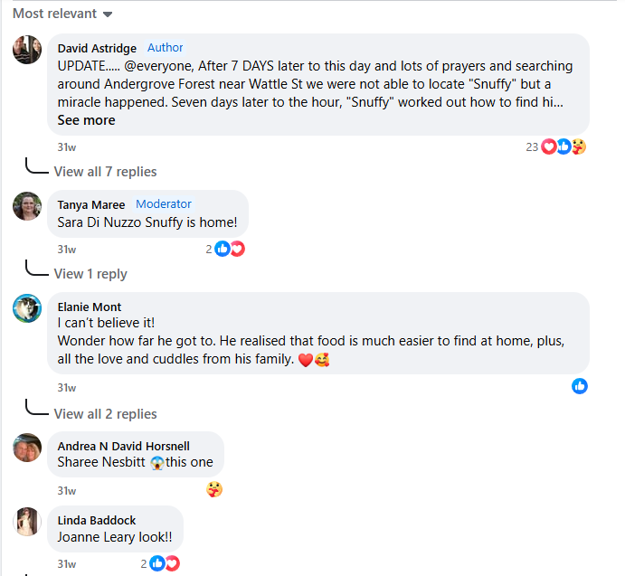 Messages of joy from Facebook Applauding Snuffy's Return Home