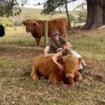 Cow hugging