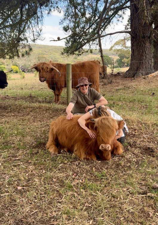 Cow hugging
